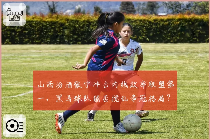 山西汾酒张宁冲击内线效率联盟第一,黑马球队能否搅乱争冠格局?