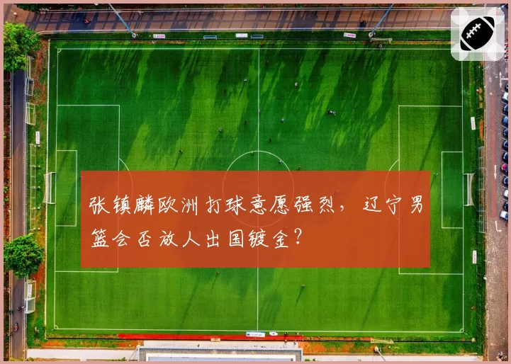张镇麟欧洲打球意愿强烈，辽宁男篮会否放人出国镀金？